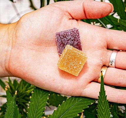 Gummy Cubes for Every Occasion Party Favors and Gift Ideas